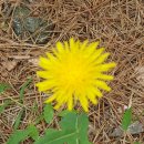 경원치과의원 이미지