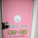 대전펫츠 이미지