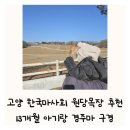 원동목장 | 고양 한국마사회 원당목장 삼송역 13개월 아기랑 경주마 말 구경