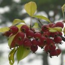 보배부동산공인중개사사무소 이미지