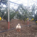 일꾼농장 이미지