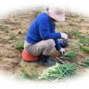 궁전아파트 경로당 이미지