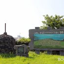 제주와요 이미지