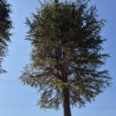 내동유수 파크골프장 이미지