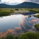 예감공인중개사사무소 이미지