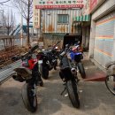 오리랑꼬꼬랑 이미지