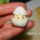 병아리삐약