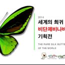 누에