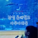 아마존타워 | 잠실 롯데월드 아쿠아리움 가격 할인 관람시간 벨루가 서울 롯데타워 아기랑 유모차로 이용후기