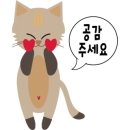 더노벰버라운지송도