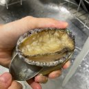 노다지수산 | [서울/송파] 가락시장 횟집 노다지 수산 모듬회 포장 후기