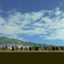 국립고궁박물관 이미지