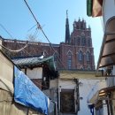 스노우즈 이미지