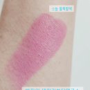 스놉 | 맥 스놉 후기(내돈내산)｜맥 맥시멀 매트 립스틱, 화사한 핑크립 솔직 발색 리뷰