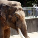 달성공원 이미지