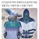 예감 이미지