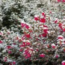 제주도한달살기 이미지