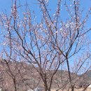 청도강변돌고래펜션 이미지