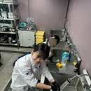 진짱세탁 이미지