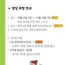 그림책 교육 지도사 과정(자격증) 이미지