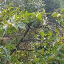 꽃바우공원 이미지