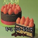 투썸플레이스 압구정역점 | 투썸 신상 케이크 두초생 케이크 내돈내산 후기!