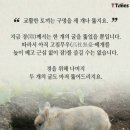토끼굴 이미지