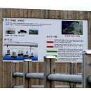 변산파크장 이미지