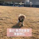 (주)힐링펫 이미지