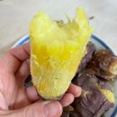 예스힐링민박 이미지