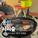 신 원 | 용인 셀프 바베큐장 서리숲 당일치기 처인구 글램핑