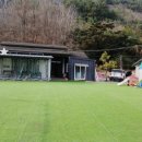 청춘 별을 쏘다 이미지