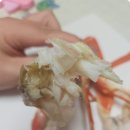 금성수산 이미지