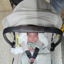 중앙카시트 | 신생아 카시트 고민 끝! 뉴나 피파넥스트 8개월 실사용 후기 (+안전벨트 조작법)