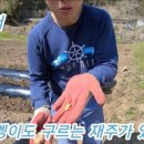감자엄마