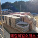 칼라직업소개소 이미지