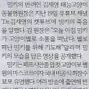 갈매기나라 이미지