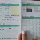 도담도담동물병원 | 성북구 고양이 동물 병원, 도담도담 동물 병원 내원 후기