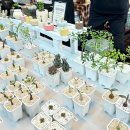 🌱 성남 수정구 플리마켓 사장님의 스마트한 선택! 리더페이 수기결제 단말기 개통 후기 💳🌿