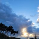 소나무가든민박 이미지