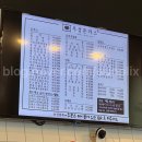 우성돈까스 포항오천점 | 포항 남구 오천 돈가스 식당 리뷰 [우성돈까스]