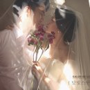 장홍제 카카오 검색결과