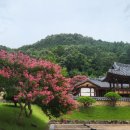 김면장군유적지 이미지