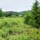 이광수농장 이미지