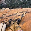 Little Bear Big Trip 이미지