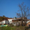 달빛영근마을 이미지