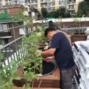 아람마을경로당 이미지