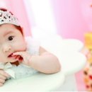 똥강아지 베이비 스튜디오