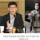 진혜원 “정경심 표창장 무죄”에 진중권 “이분, 치료 시급” 이미지