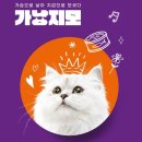 수성애니포스 | 대구 최초 고양이박람회 가낳지모 캣페어에 다녀오다